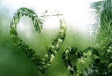 蓝鲸体育直播：亚冬会│滑雪登山首登亚冬会 中国队包揽男女短距离全部奖牌2025-02-09.