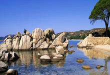 蓝鲸体育直播：瓜帅：剩下9场英超都是决赛；布莱顿的教练一直很出色.